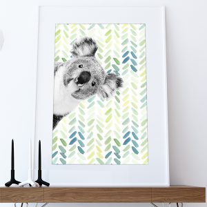 koala